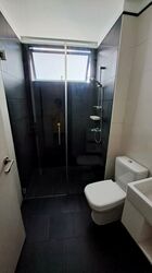 Village @ Pasir Panjang (D5), Condominium #454917271